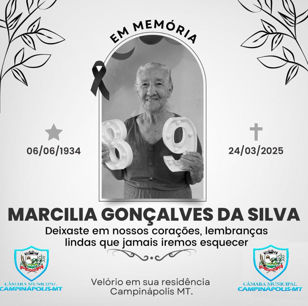 DECRETO DA PRESIDÊNCIA Nº 12 24 DE MARÇO DE 2025.