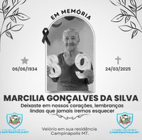 DECRETO DA PRESIDÊNCIA Nº 12 24 DE MARÇO DE 2025.