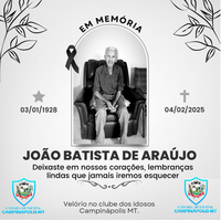 DECRETO DA PRESIDÊNCIA Nº 03 04 DE FEVEREIRO DE 2025