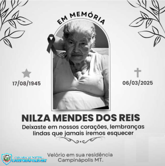 DECRETO DA PRESIDÊNCIA Nº 09 07 DE MARÇO DE 2025